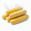 ELOTE MAZORCA CONGELADO SMPLOT -BOLSA 8 PZ-