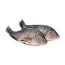 MOJARRA ENTERA –PIEZA 350 GR-
